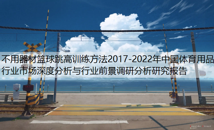 不用器材篮球跳高训练方法2017-2022年中国体育用品行业市场深度分析与行业前景调研分析研究报告