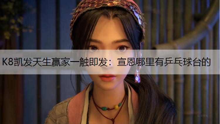 K8凯发天生赢家一触即发：宣恩哪里有乒乓球台的