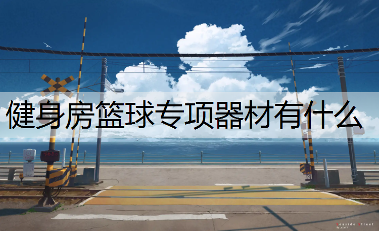健身房篮球专项器材有什么