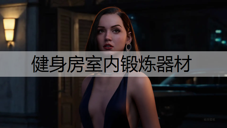 健身房室内锻炼器材