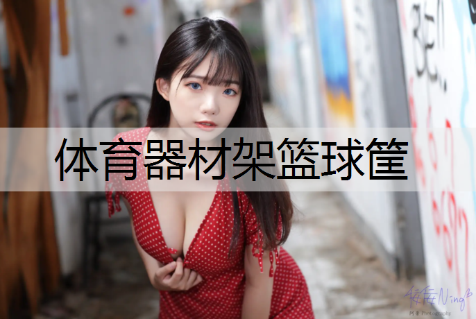 体育器材架篮球筐