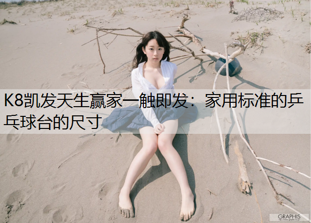 家用标准的乒乓球台的尺寸